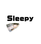 The annoyingRainbow trout（個別スタンプ：14）