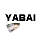 The annoyingRainbow trout（個別スタンプ：16）