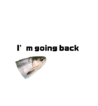 The annoyingRainbow trout（個別スタンプ：19）