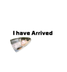 The annoyingRainbow trout（個別スタンプ：20）