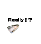 The annoyingRainbow trout（個別スタンプ：22）