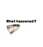 The annoyingRainbow trout（個別スタンプ：25）
