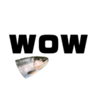 The annoyingRainbow trout（個別スタンプ：29）
