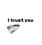 The annoyingRainbow trout（個別スタンプ：32）