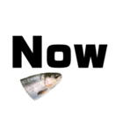 The annoyingRainbow trout（個別スタンプ：34）