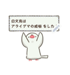 文鳥もどきがいっぱい 【メッセージ】（個別スタンプ：12）