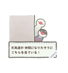 文鳥もどきがいっぱい 【メッセージ】（個別スタンプ：23）