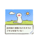文鳥もどきがいっぱい 【メッセージ】（個別スタンプ：24）