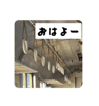 365日使える吊り革スタンプ（個別スタンプ：1）