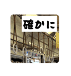 365日使える吊り革スタンプ（個別スタンプ：6）