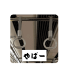 365日使える吊り革スタンプ（個別スタンプ：16）