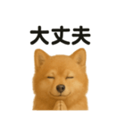 祈りするポメラニアン（個別スタンプ：13）
