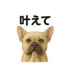 お祈りするブルドッグ（個別スタンプ：10）