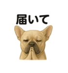 お祈りするブルドッグ（個別スタンプ：11）