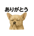 お祈りするブルドッグ（個別スタンプ：12）