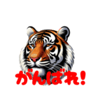 トラで応援します（個別スタンプ：1）