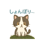 ほのぼの猫の日常（個別スタンプ：5）