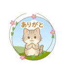 ほのぼの猫の日常（個別スタンプ：12）