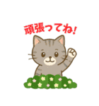 ほのぼの猫の日常（個別スタンプ：15）