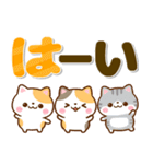ねこねこにゃんこ♡カラフルBIG文字（個別スタンプ：4）