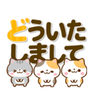 ねこねこにゃんこ♡カラフルBIG文字（個別スタンプ：21）