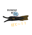 魚スタンプ第9弾だよ～～～～（個別スタンプ：4）