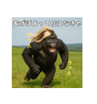 エッホウッホ！ギャルゴリラって伝えなきゃ（個別スタンプ：23）