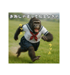 エッホウッホ！ギャルゴリラって伝えなきゃ（個別スタンプ：29）
