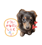 ぎんどん挨拶（個別スタンプ：2）