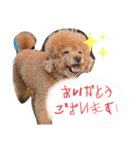 ぎんどん挨拶（個別スタンプ：5）