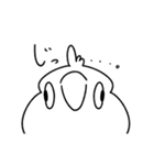 あほズラインコ（個別スタンプ：12）
