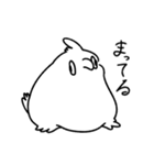 あほズラインコ（個別スタンプ：14）
