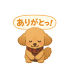 ふわもこトイプー＊毎日使える8表情（個別スタンプ：2）
