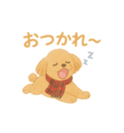 ふわもこトイプー＊毎日使える8表情（個別スタンプ：4）
