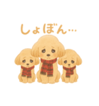 ふわもこトイプー＊毎日使える8表情（個別スタンプ：6）