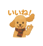 ふわもこトイプー＊毎日使える8表情（個別スタンプ：7）