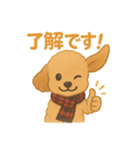 ふわもこトイプー＊毎日使える8表情（個別スタンプ：8）