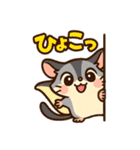 ハリネズミとモモンガの仲良しスタンプ（個別スタンプ：37）