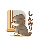 まるぷー（ちわわ×といぷーどる）（個別スタンプ：2）