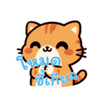 にゃんこライフ-株式市場 (タイ) Ver7（個別スタンプ：13）