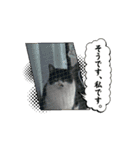 こまちとろこ。（個別スタンプ：5）