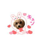 こまちとろこ。（個別スタンプ：10）