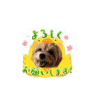 こまちとろこ。（個別スタンプ：11）