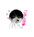 こまちとろこ。（個別スタンプ：13）