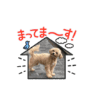こまちとろこ。（個別スタンプ：14）