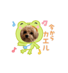 こまちとろこ。（個別スタンプ：16）