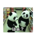 監視カメラに映った謎の着ぐるみたち（個別スタンプ：16）