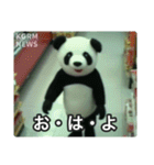 監視カメラに映った謎の着ぐるみたち（個別スタンプ：17）