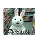 監視カメラに映った謎の着ぐるみたち（個別スタンプ：23）