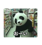 監視カメラに映った謎の着ぐるみたち（個別スタンプ：31）